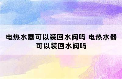 电热水器可以装回水阀吗 电热水器可以装回水阀吗